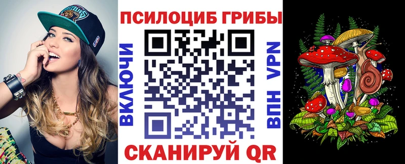 купить наркоту гидра сайт мориарти состав Ачинск Галлюциногенные грибы Cubensis
