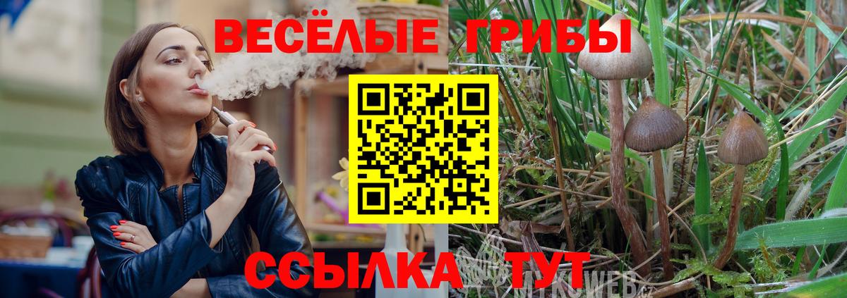 наркотики  Вход с VPN  Ачинск  Галлюциногенные грибы Psilocybe 