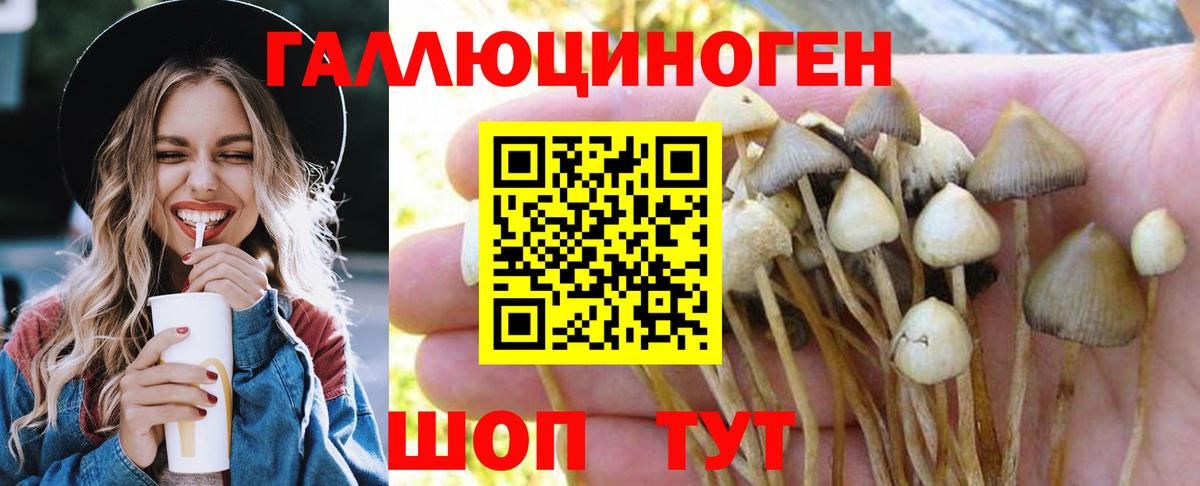 Галлюциногенные грибы мухоморы Ачинск