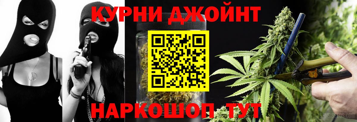 Бошки Шишки планчик Ачинск